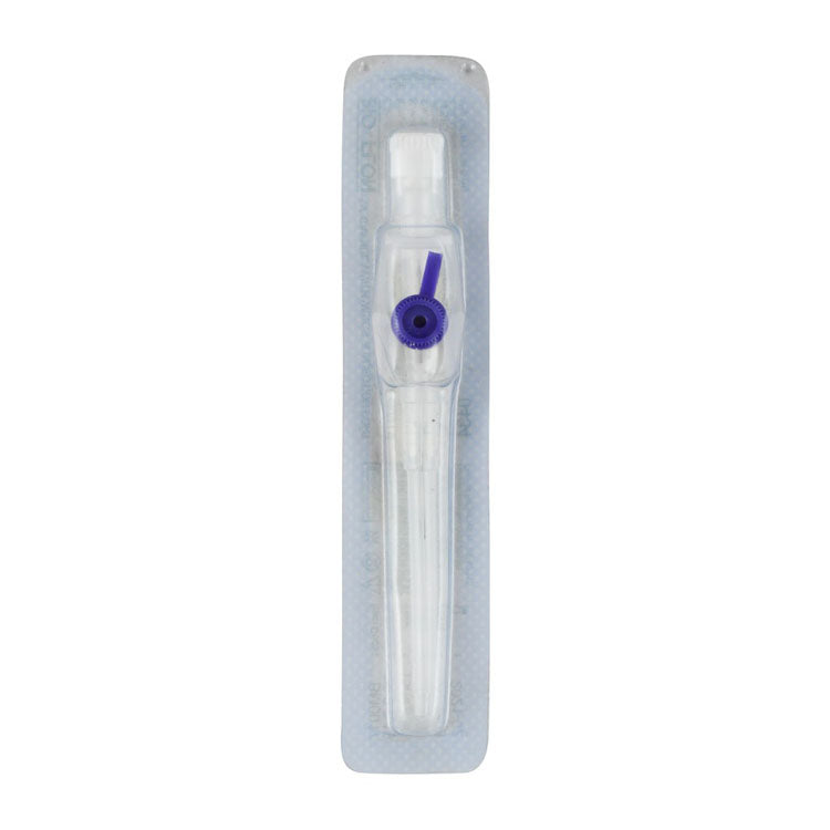 Healflon Purple Cannula with Catheter & Injection Valve